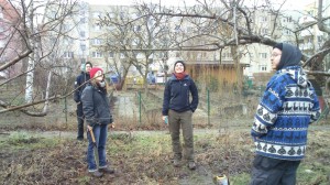 Baumschnitt BV-Garten 2015.2