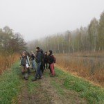 Vogelwanderung: Vögel im frostigen Nebel, es ist möglich