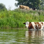 Dafür hatten wir volles Verständnis bei 35°C