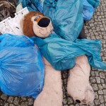 Der Löwe liegt bequem im Müllsackbett